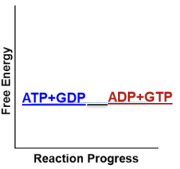 <p>Reactants have same energy as products (∆Gº′=0) </p>