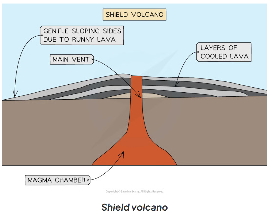 <p>A Shield Volcano is formed by <strong>divergent </strong>(constructive) plate boundaries or hot spots.</p><p>A <strong>shield </strong>volcano has:</p><ul><li><p>gently sloping sides</p></li><li><p>runny/thin lava</p></li><li><p>less explosive-gentle eruptions</p></li><li><p>frequent eruptions</p></li></ul><p></p>