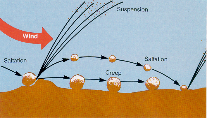 <p>soil creep (wind erosion)</p>