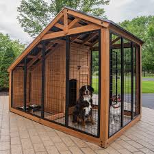 <p><strong>kennel</strong></p><p></p>