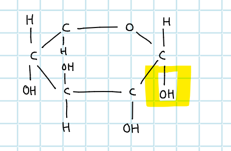<p>C6H2OH - which glucose is this?</p>