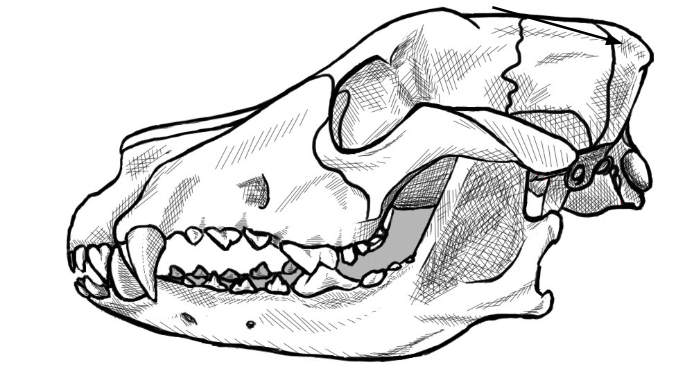 <p>what is this arrow pointing to </p>