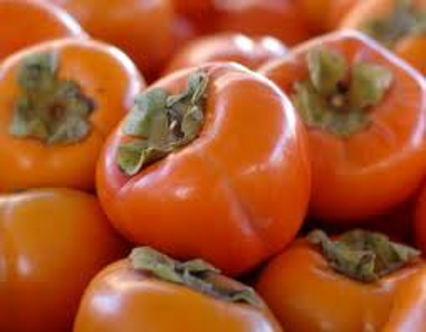 <p>persimmon</p>