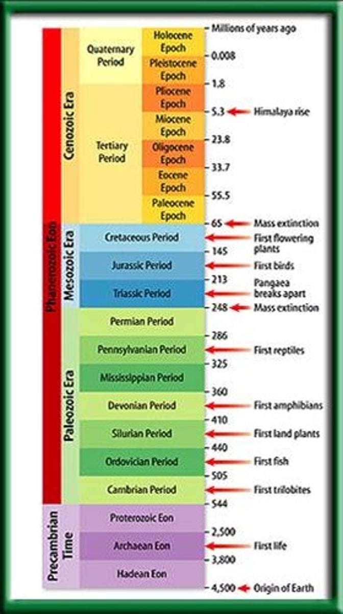 <p>The summary of Earth's history, divided into intervals of time defined by major events or changes on Earth.</p>