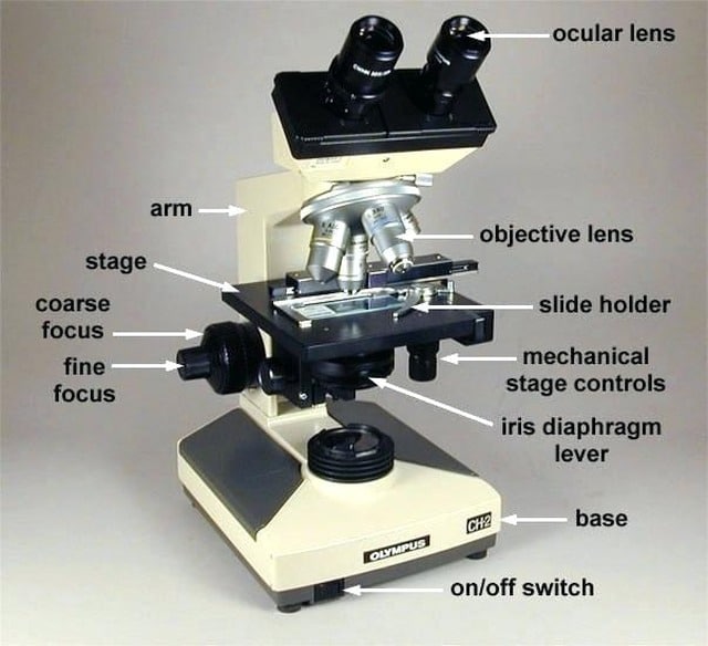 <p>Adjusts size of aperture in condenser, controlling amount of light that passes through specimen</p>