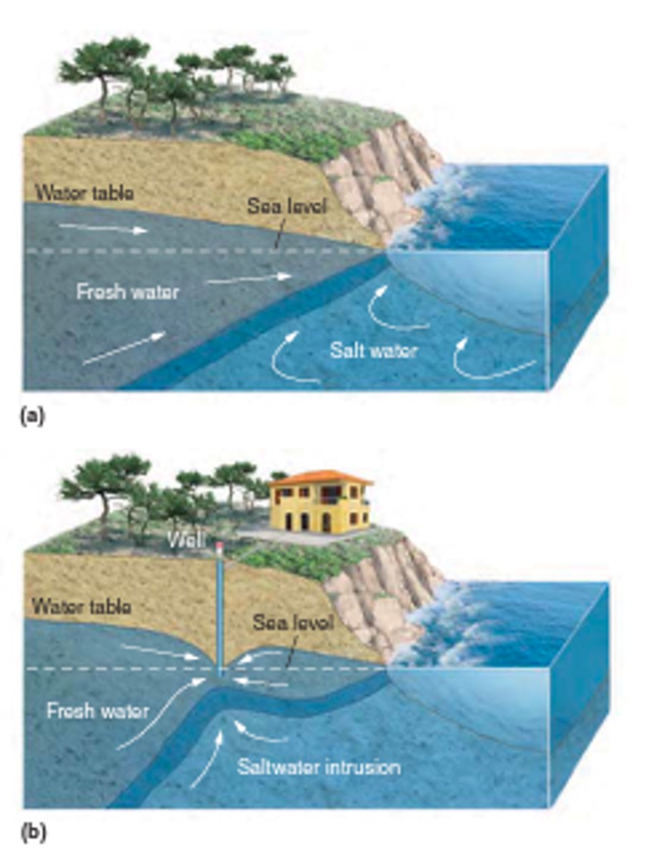 <p>an infiltration of salt water in an area where groundwater pressure has been reduced from extensive drilling of wells</p>