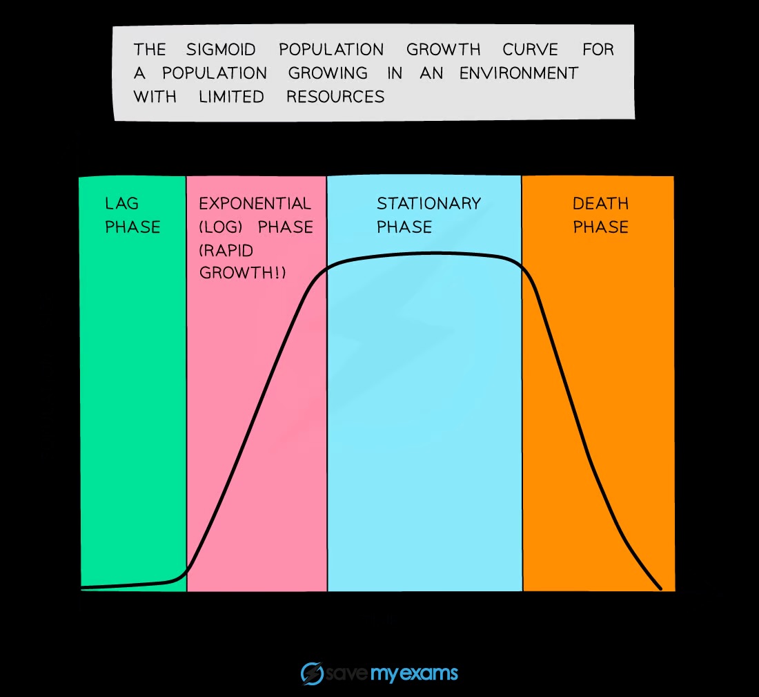 <p>Lag, exponential (log), stationary, and death phases</p>