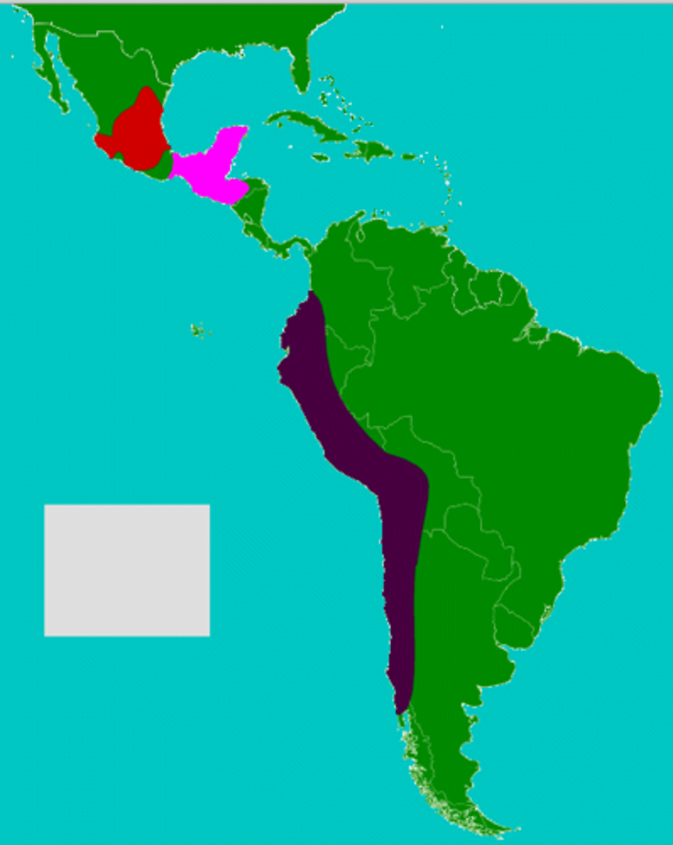 <p>Andes Mountains of South America</p><p>The PURPLE region</p>