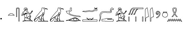 term image