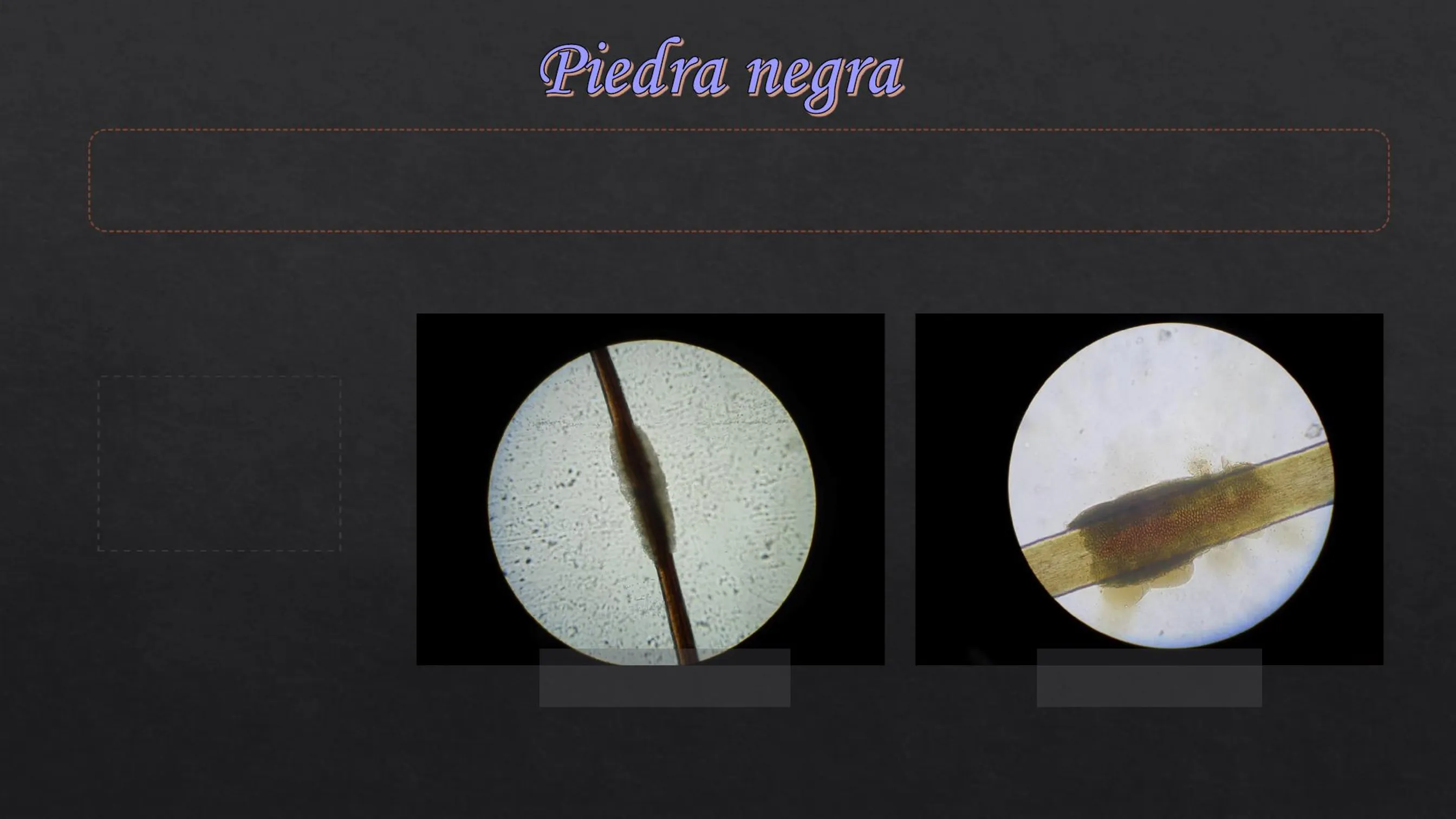 <p>PIEDRA NEGRA</p><p></p>