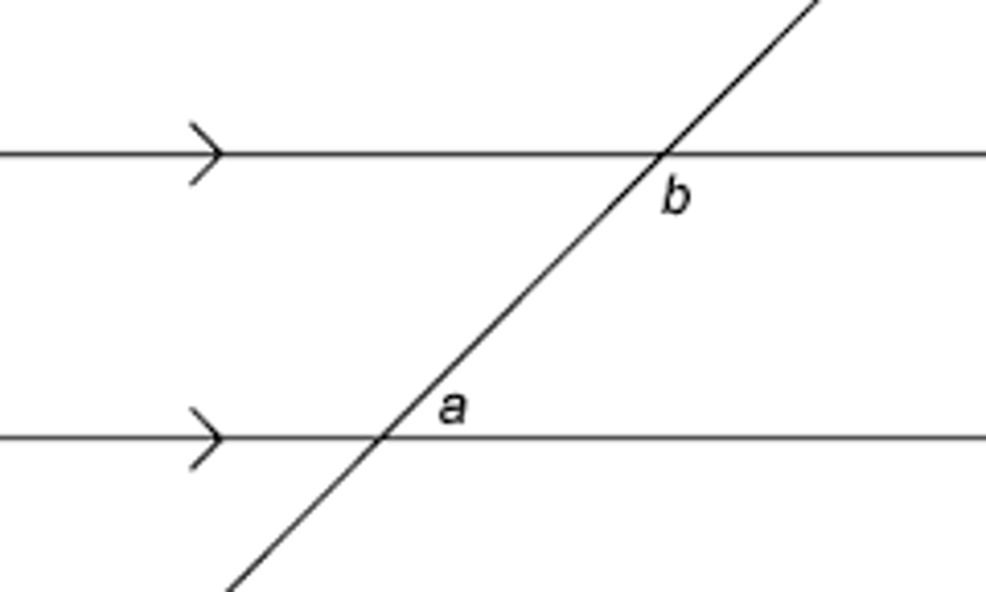 <p>Co-interior angles are positioned</p><p>'inside' the parallel lines, on the</p><p>same side of the transversal. Think</p><p>of them as C-shaped.</p><p>Co-interior angles are also called</p><p>allied angles.</p>