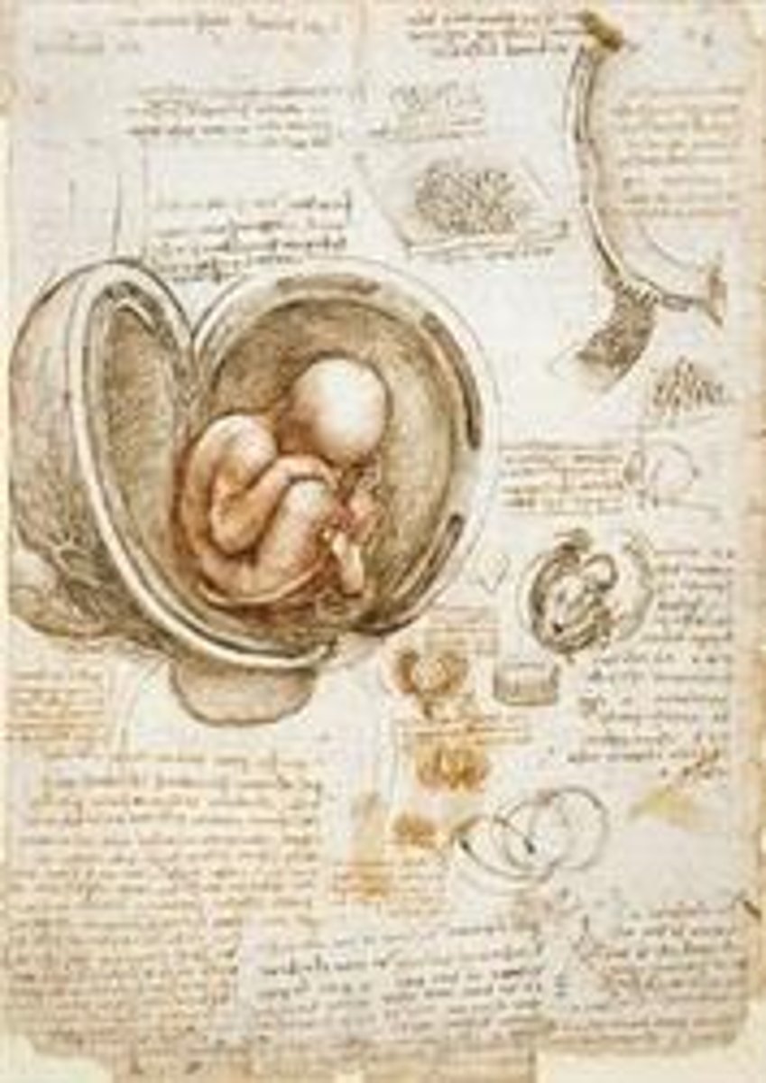 <p>Leonardo da Vinci, c. 1510-13</p>