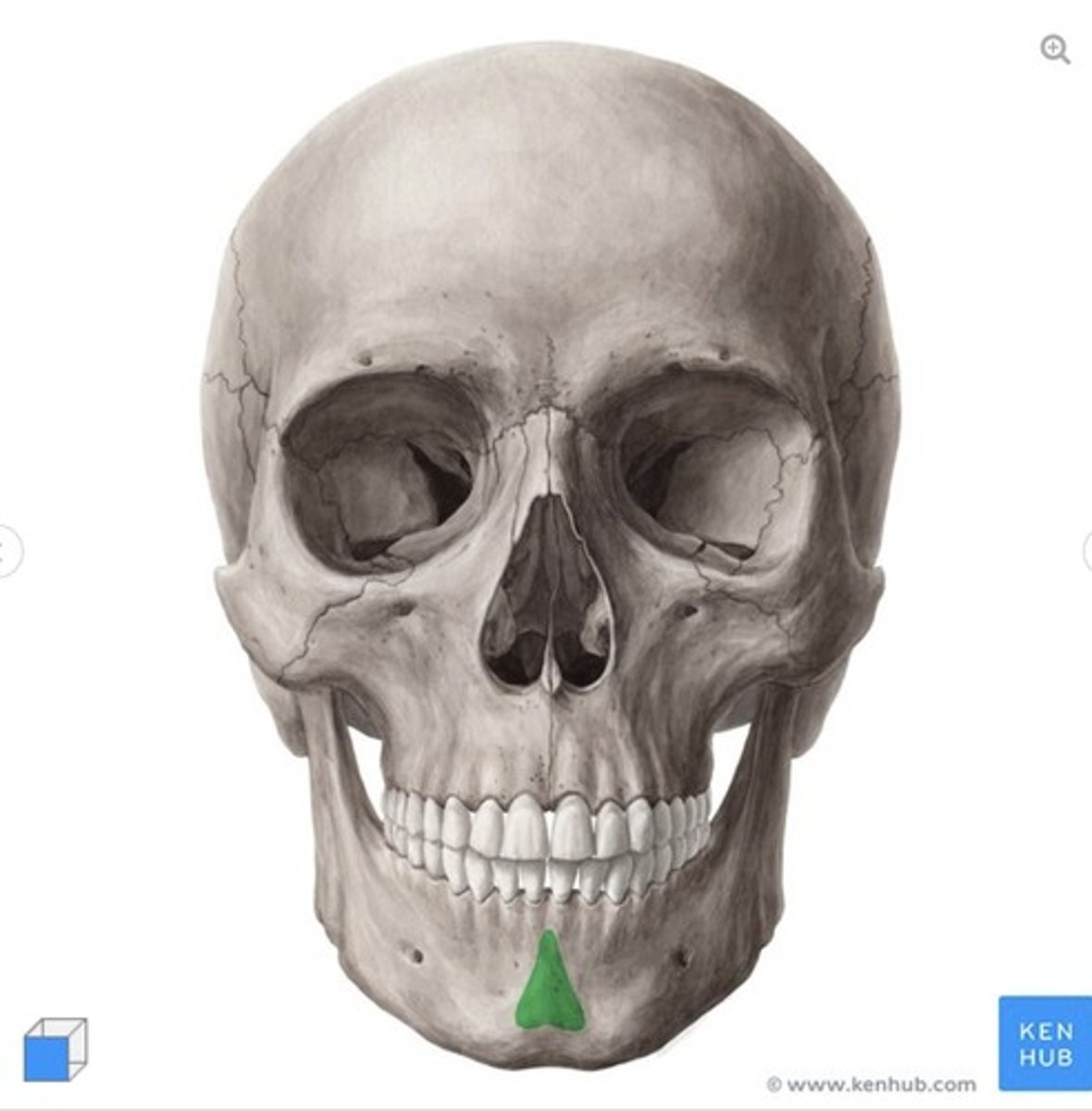 <p>what is this called and what bone is it on?</p>