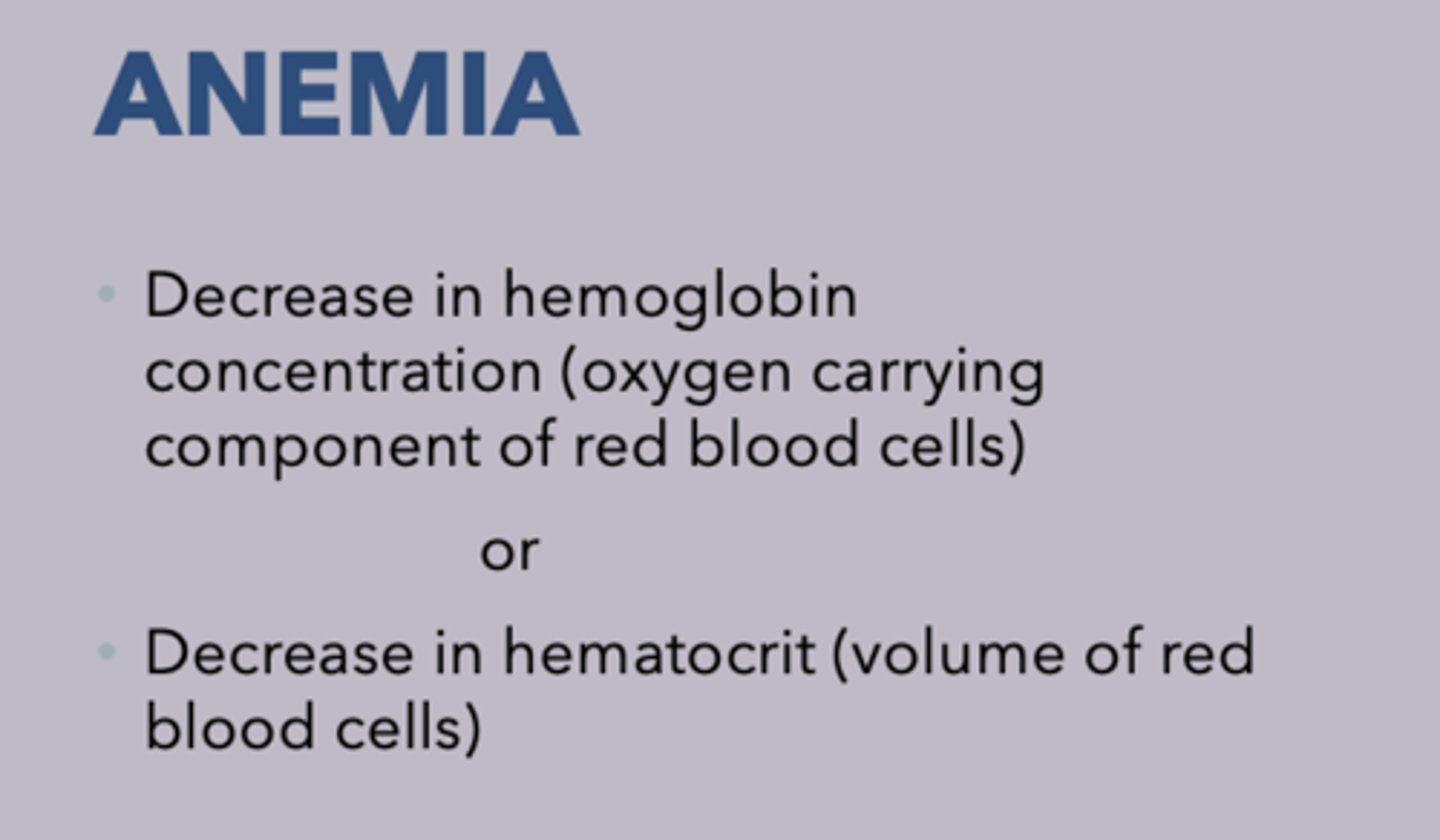 <p>Anemia</p>