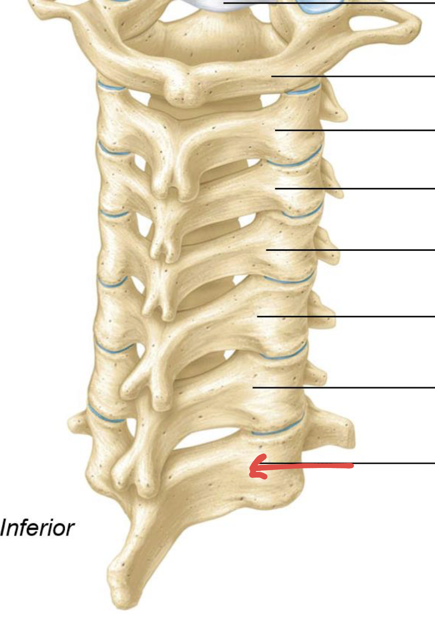 <p>what is this?</p>