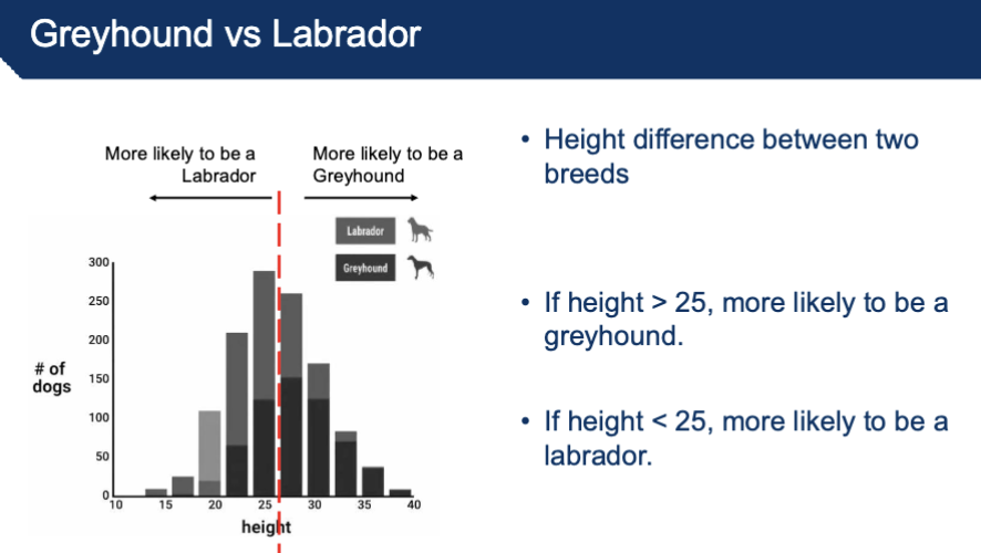 <p><u>Teaching a computer to do a task using “data”</u> (ex. examples of what we want it to do)</p><ul><li><p>ex. trying to distinguish between a greyhound vs labrador</p><ul><li><p>Create Dataset: Collect some examples of Greyhounds and Labradors</p></li><li><p>Collect photos of dogs in each breed</p></li><li><p>Describe each dog to the computer</p></li><li><p>Height of specific dog *</p></li><li><p>Weight</p></li><li><p>Color</p><p></p></li></ul></li></ul><p>*machine learning doesn’t predict randomness but instead learns from patterns in the data + learning from experience</p><ul><li><p>exposure to more data increases learning quality → optimization issue (trying to minimize error)</p></li></ul><p></p>