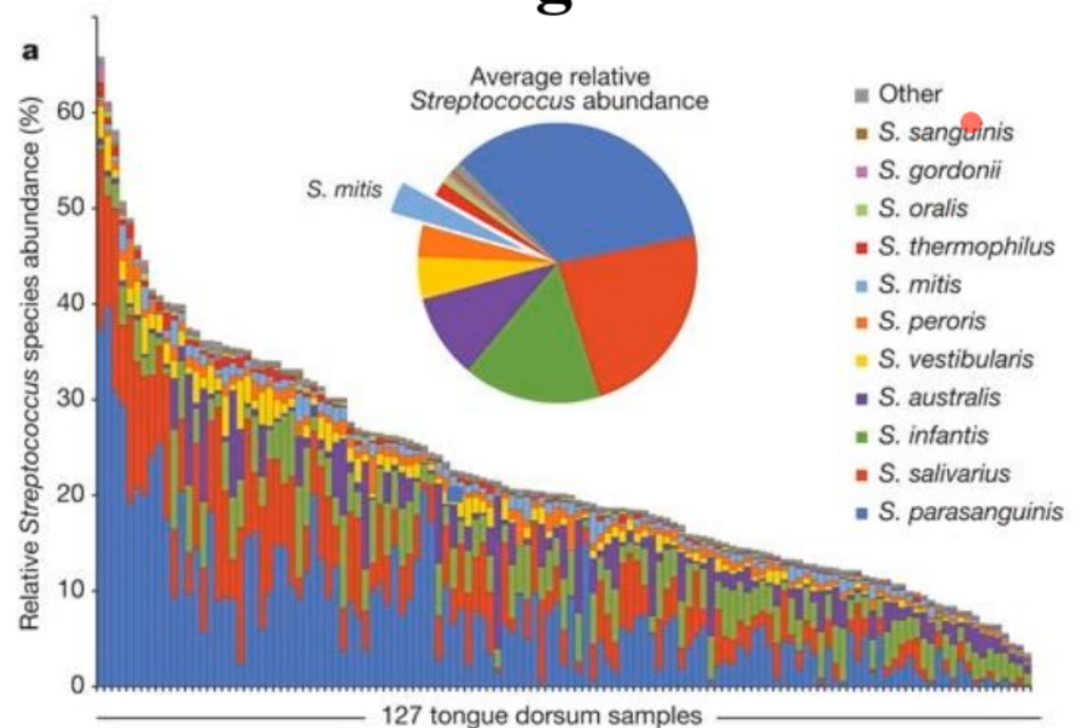 <p>what species predominate on the tongue?</p>