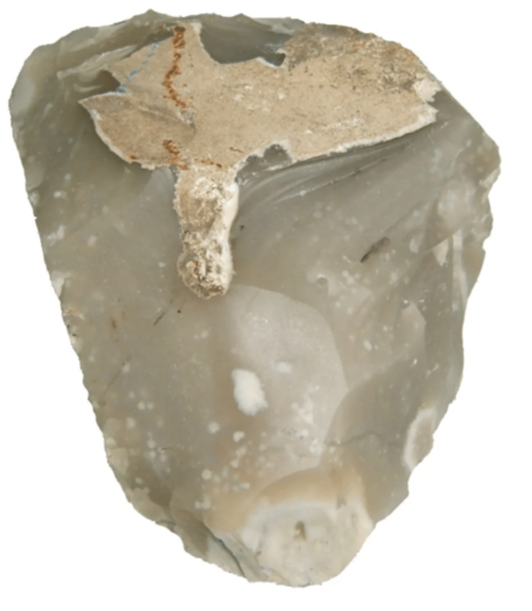 <p>sedimentary</p>
