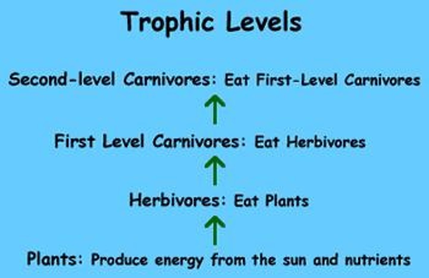 <p>Feeding relationships among organisms in ecosystems.</p>