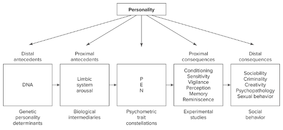 a biological basis for personality