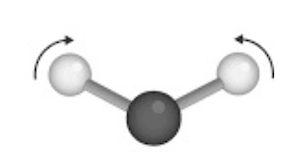 <p>Identify the following vibration</p>