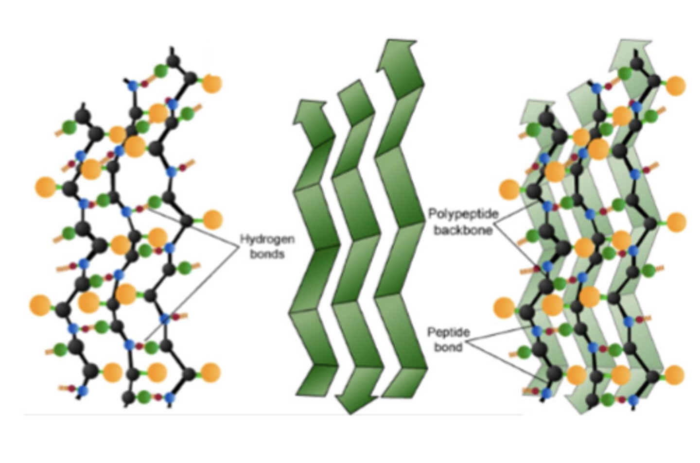 <p>amyloid</p>