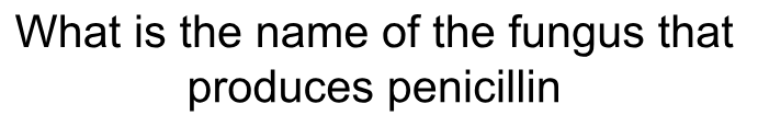 term image