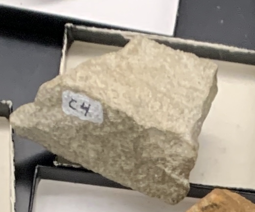 <p>C4</p>