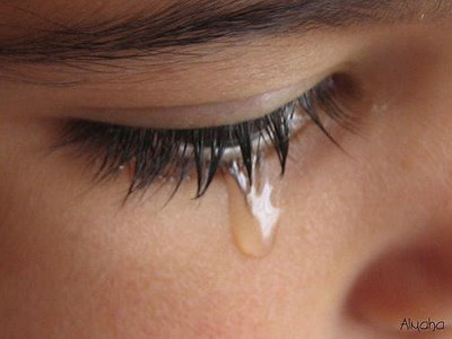 <p>(adv) một cách u sầu</p>