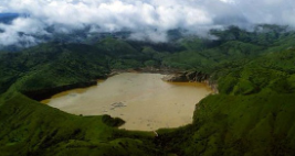 <p>Pollution can be _____ and ______</p>