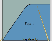 <p>feeding increases linearly with food density then levels off, little-to-no searching</p>