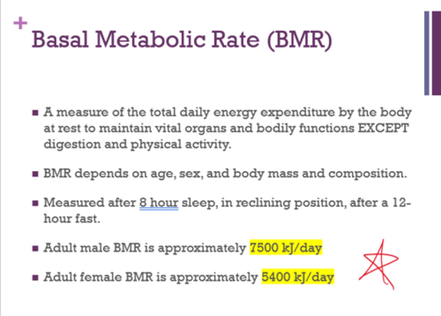 <p>A measure of the total daily energy expenditure by the body at rest to maintain vital organs and bodily functions</p><p>EXCEPT digestion and physical activity</p>