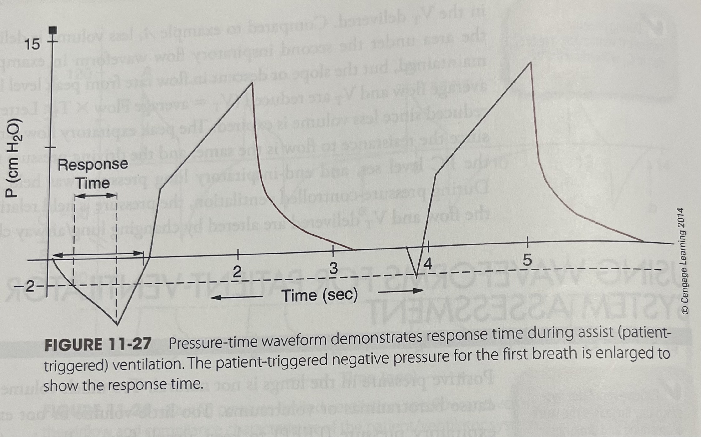 <p>What is this waveform? </p>