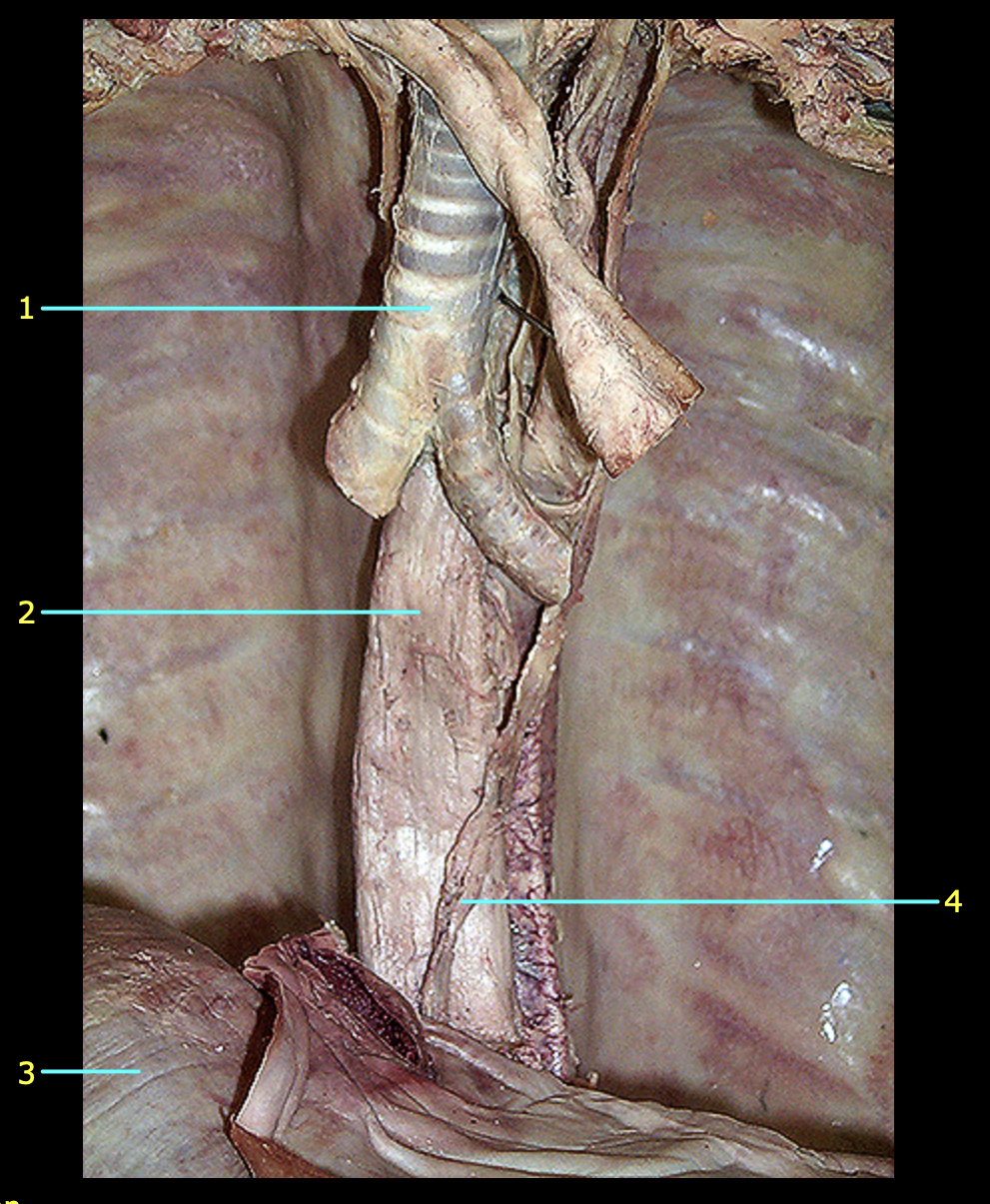 <p>1</p>