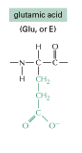 <p>Glutamic Acid CH2, CH2, (C, O, O-)</p>