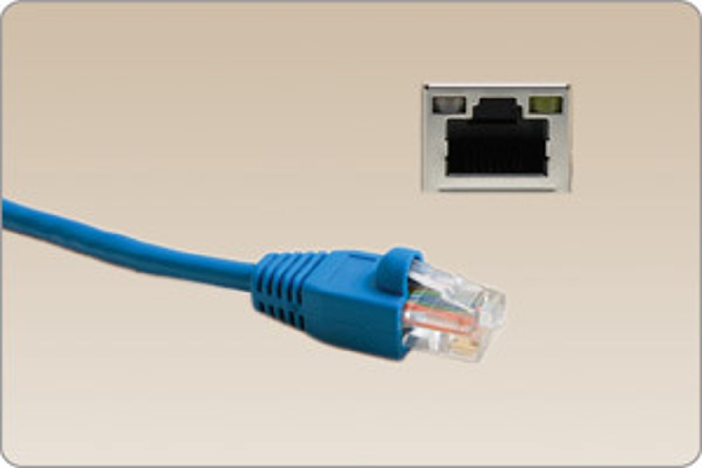 <p>A common connector or plug used on the end of the network cable.</p>