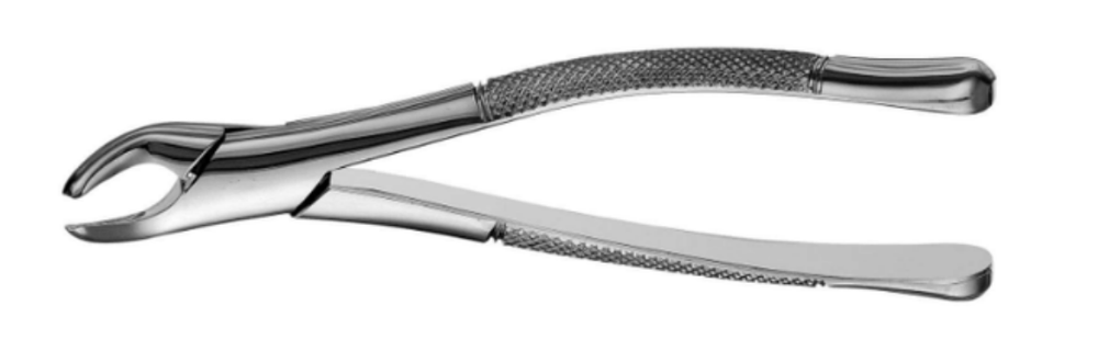 <p>Mandibular Universal</p><p>Forceps/ Cryer 151 lower</p>
