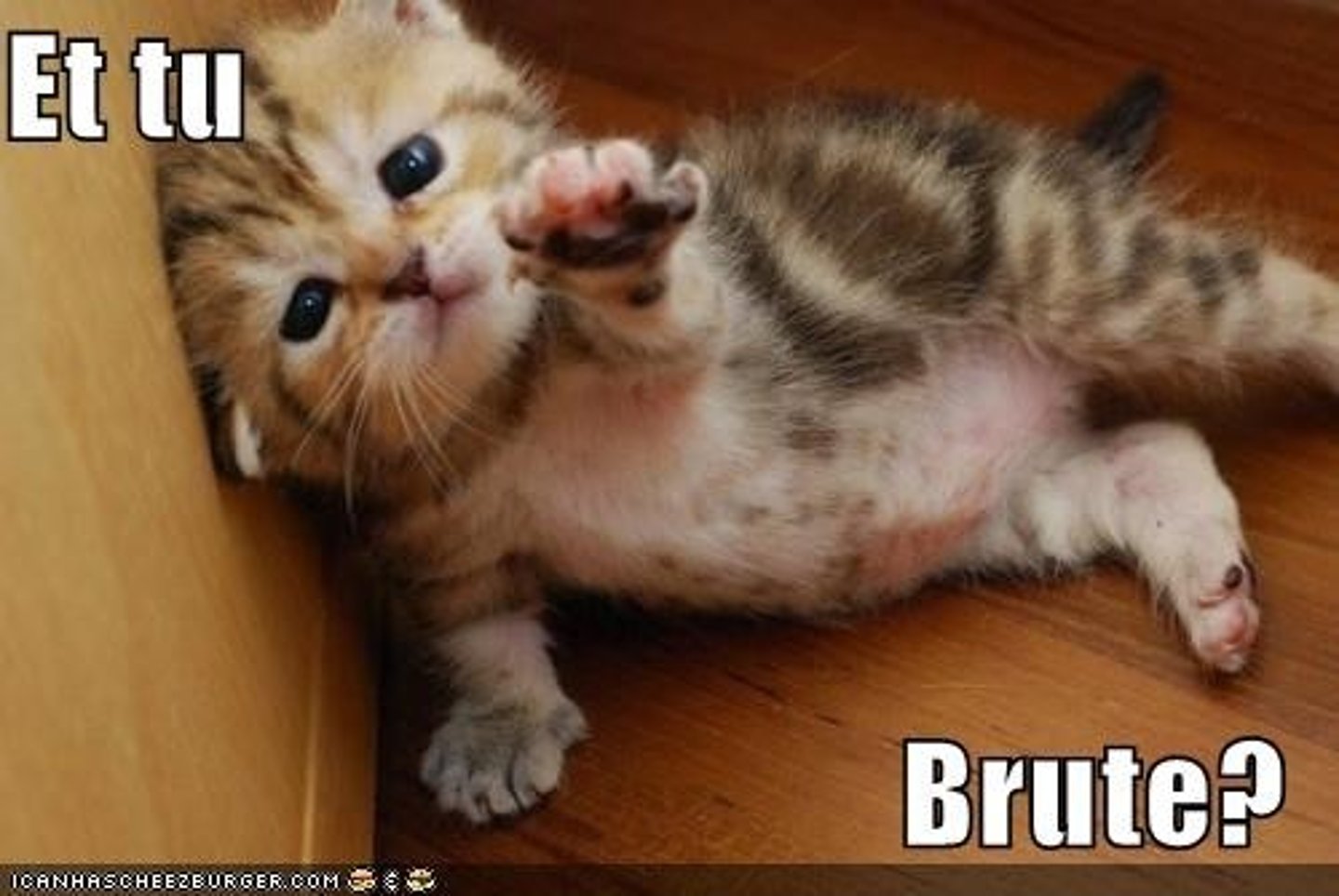 <p>"Et tu, Brute? Then fall, Caesar!"</p>