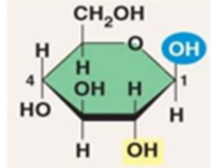 <p>What is the name of this monosaccharide shown?</p>