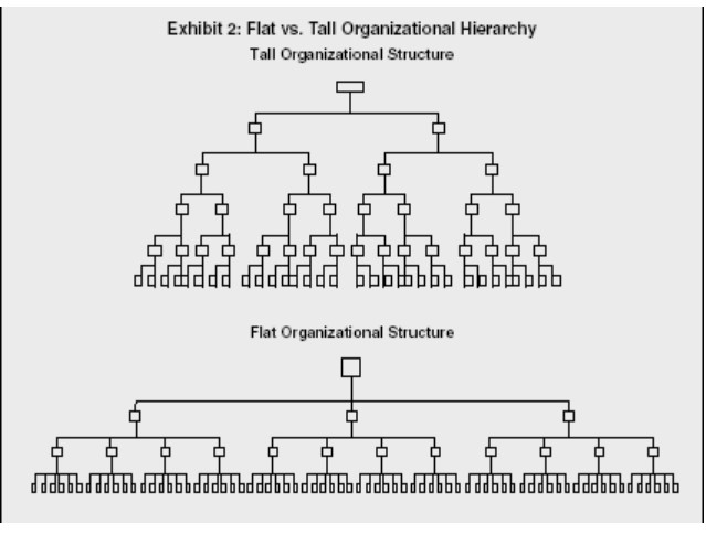 <ul><li><p>Short chain of command</p></li><li><p>Few levels of hierarchy</p></li><li><p>Wider span of control</p></li></ul>