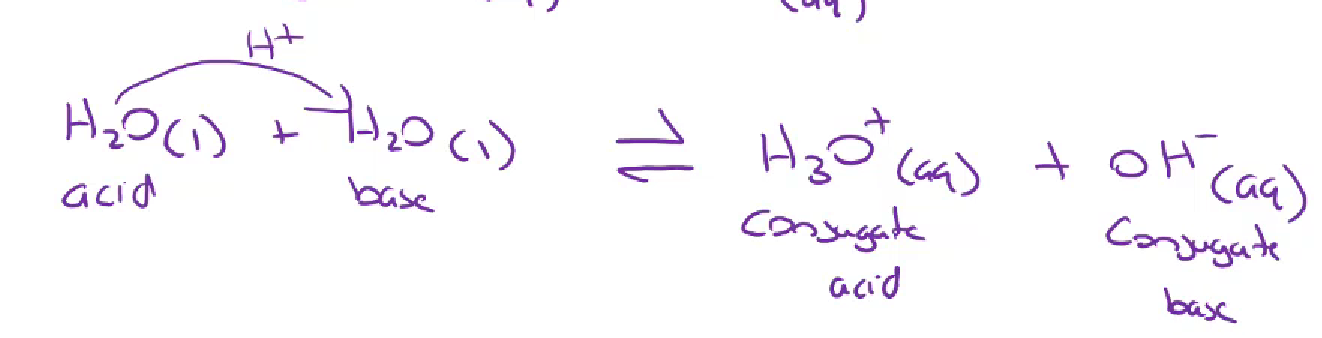 <p>since water is an amphoteric substance it is able to ionise itself (autoionization)</p><ul><li><p>2H2O →← H3O(aq) + OH-(aq)</p></li><li><p>H2O (l) → ← H+ + OH-</p><p></p></li></ul><p></p>
