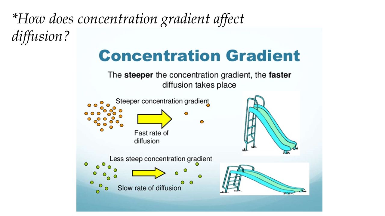 <p>The bigger the difference in concentrations, the steeper the gradient is, and therefore there is a faster rate of diffusion. Conversely, when concentrations are similar, the rate of diffusion slows down, because molecules are moving towards equilibrium. </p>