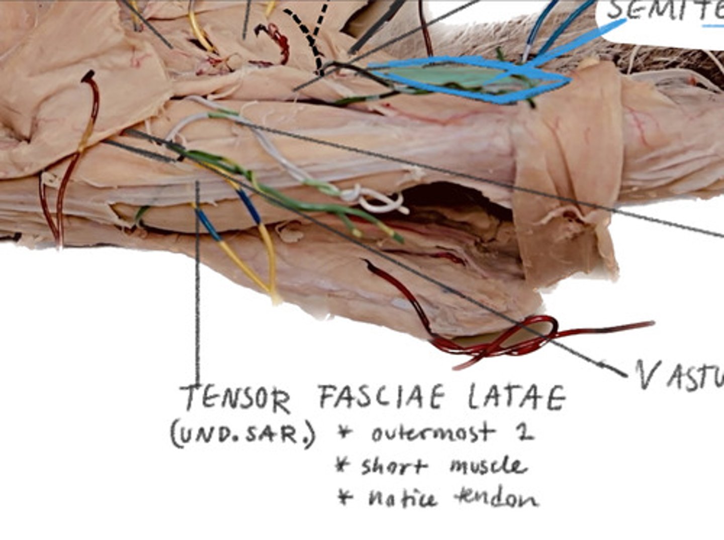 <p>Fascia strip</p>