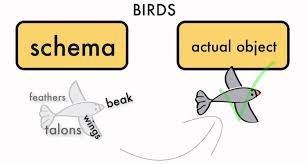 <p><span style="font-family: Arial, sans-serif"><mark data-color="yellow">the mental image of something</mark></span></p><ul><li><p><span style="font-family: Arial, sans-serif"><mark data-color="blue">1-to-1 correspondence between the </mark></span><strong><em><span style="font-family: Arial, sans-serif"><mark data-color="blue">representation and the real-life thing</mark></span></em></strong><span style="font-family: Arial, sans-serif"><mark data-color="blue"> (isomorphism)</mark></span></p><ul><li><p><span style="font-family: Arial, sans-serif">Multiple possible but <mark data-color="red">1/1 is ideal</mark></span></p></li></ul></li></ul>