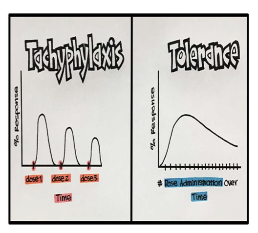 <p>Rapidly developing decrease in responsiveness when a drug is repeatedly administered over a short period of time</p><ul><li><p>Results from an intermediate needed for response being depleted, receptors getting internalized, or signal transduction becoming uncoupled</p></li><li><p>Max response usually reduced</p></li></ul><p></p>
