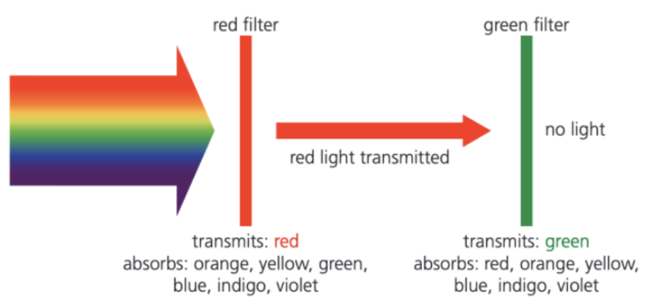 <p><span>Colour filters work by absorbing certain wavelengths (and colour) and transmitting other wavelengths (and colour).</span></p>