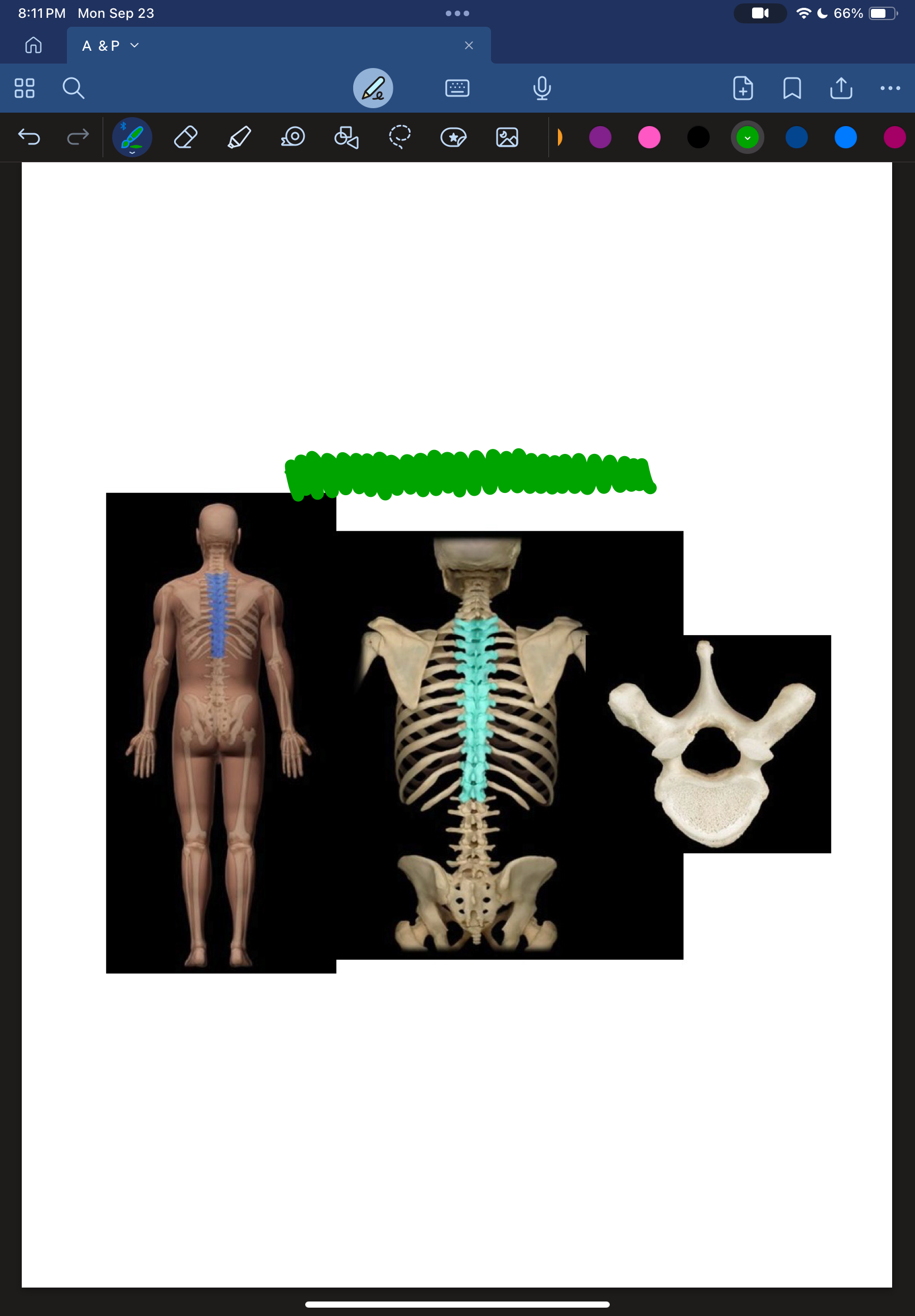 <p>1.</p>