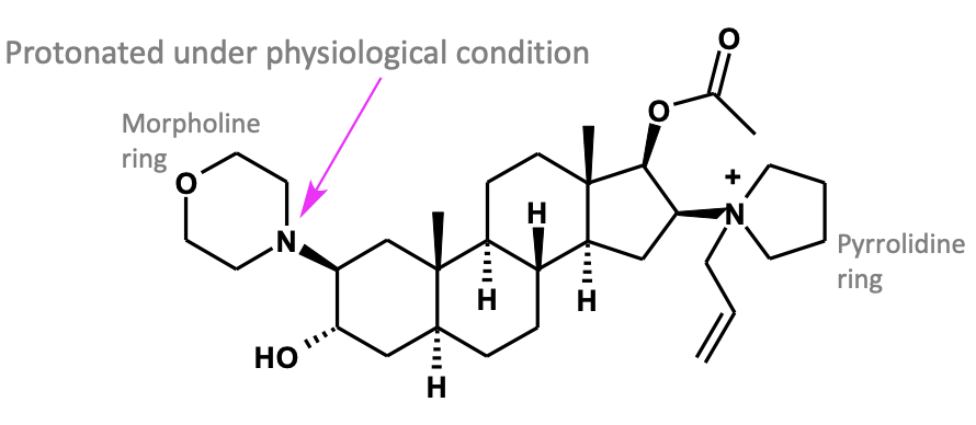 <p>What is this?</p>