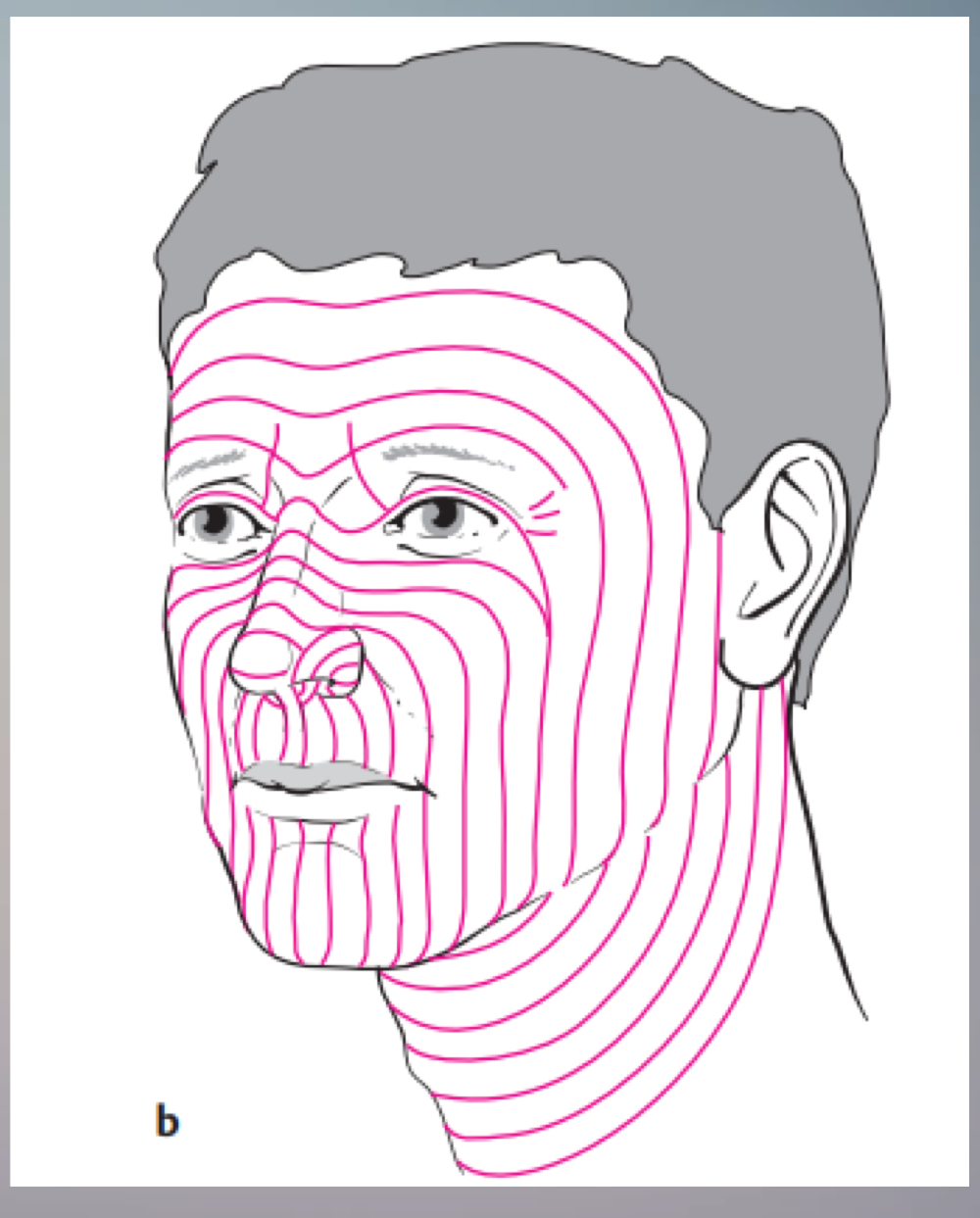 What is shown in the image?
