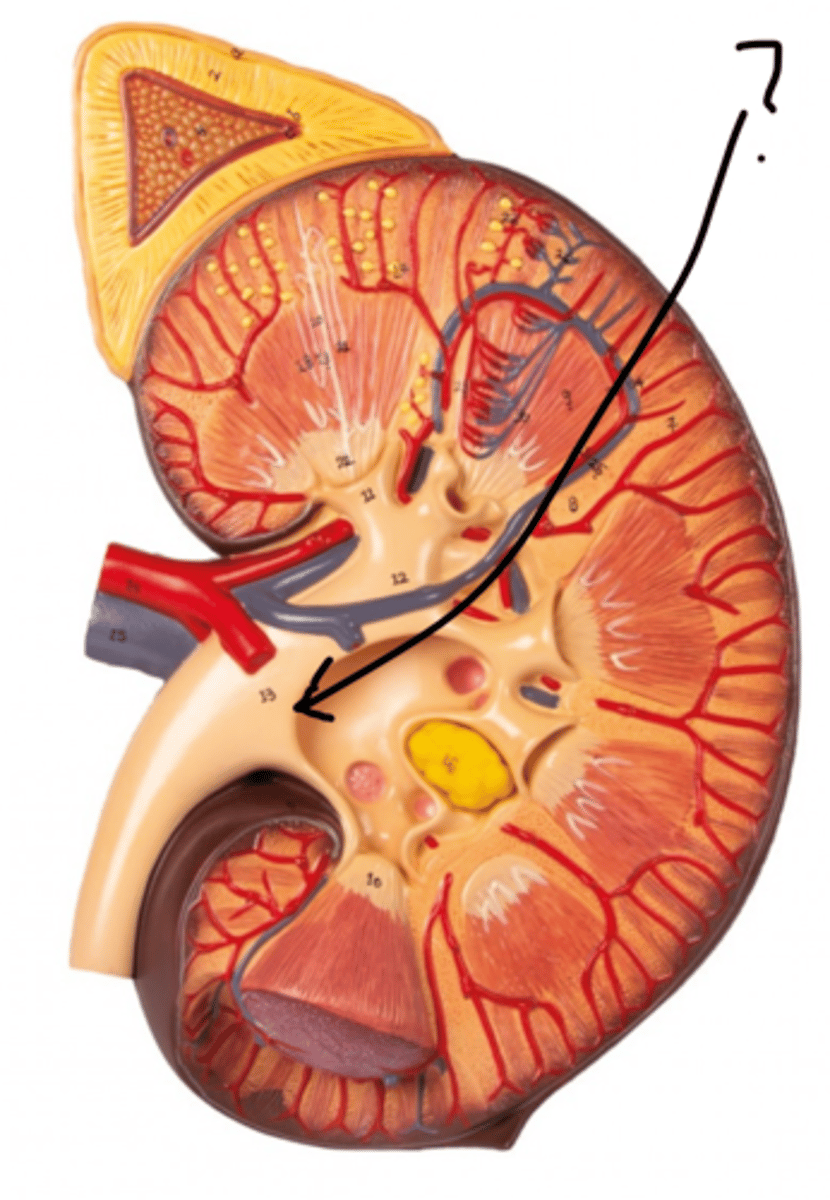 <p>Name this space.</p>